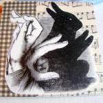 Hand Shadow Puppet No 1 - Bunny Rabbit - Coaster -..